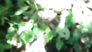 Russian girl sucks her lover in bushes in forest! Amateur!