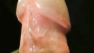 Closeup Precum & Frenulum Orgasm