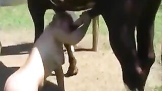 Blonde Horse Anal