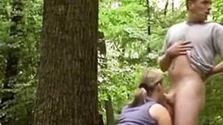 Deutsches Doggen im Wald