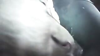 Yasmin Fucks Dog And Pig